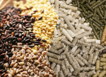 Продажа завода по производству сухих кормовых добавок, премиксов, БМВД